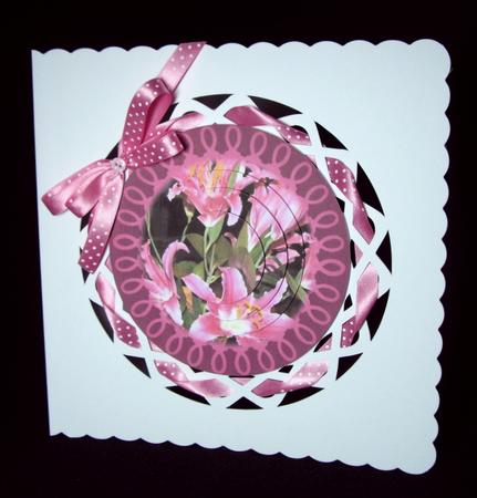 Pink Plate 1 by Dianne Jackson