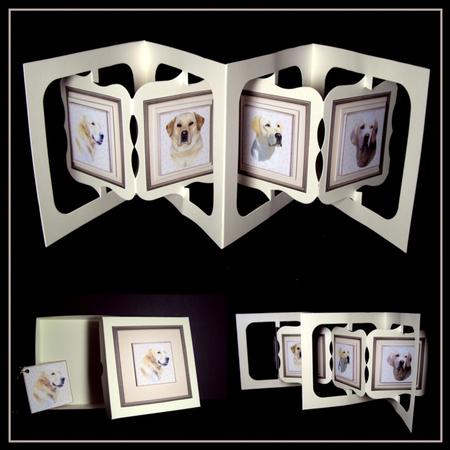Golden Retriever Portrait by Dianne Jackson