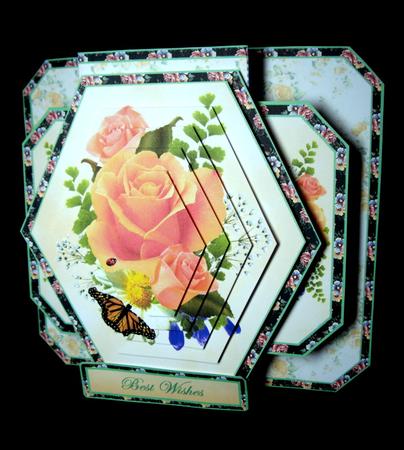 3D Double Pop-out - Peach Roses by Dianne Jackson