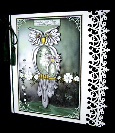 Spring Owls by Dianne Jackson