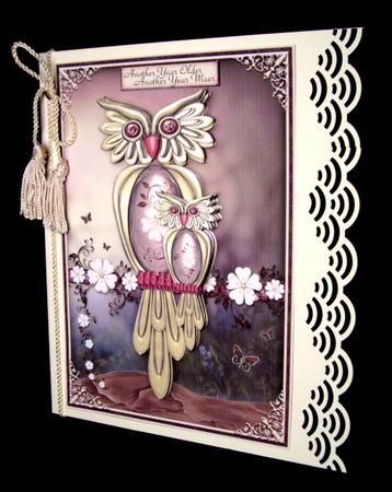 Summer Owls by Dianne Jackson
