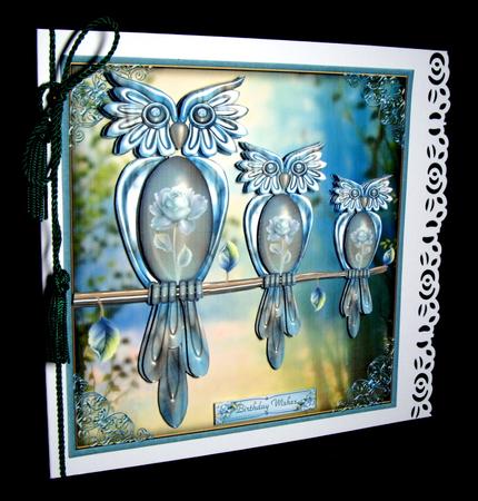 Rose Owls by Dianne Jackson
