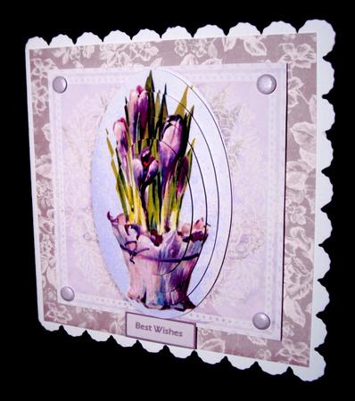 Vintage Crocus by Dianne Jackson