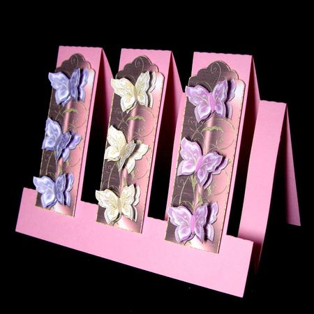 460 A Pair of Step Cards by Dianne Jackson