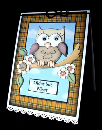 Ottie Owl by Dianne Jackson