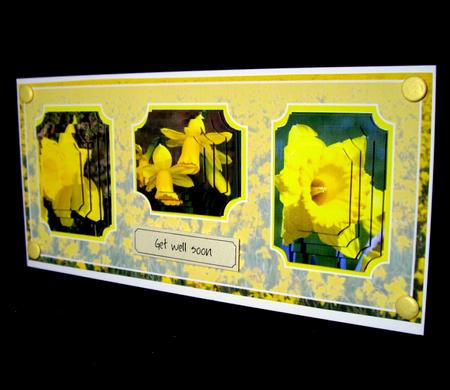 Daffodil Trio Dl by Dianne Jackson
