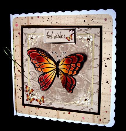 Butterflies by Dianne Jackson