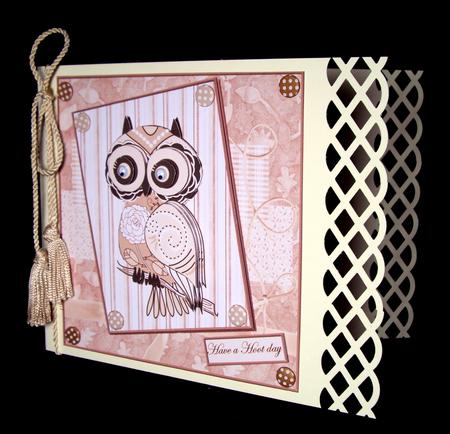 Pink Owl Card with Topper and Decoupage by Dianne Jackson