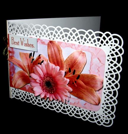 Lilies and Daisy by Dianne Jackson