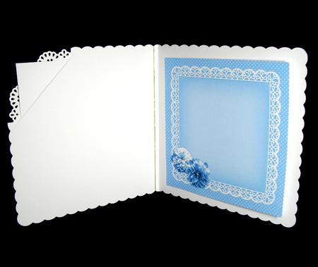 8 x 8 Flowers Butterflies & Lace Matching Insert Panel by Dianne Jackson
