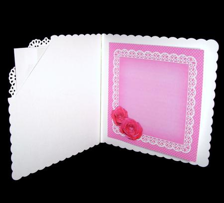 8 x 8 Flowers Butterflies & Lace Matching Insert Panel by Dianne Jackson