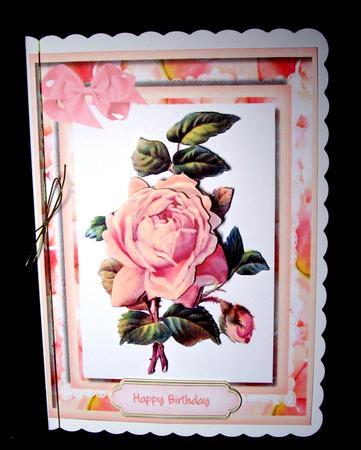 Beautiful Soft Pink Rose by Dianne Jackson
