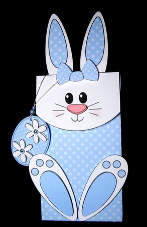 3D Bunny Cute Character Gift Bag Mini Kit by Dianne Jackson