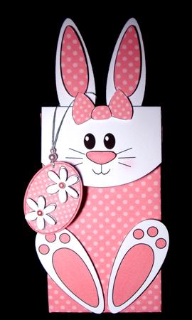 3D Bunny Cute Character Gift Bag Mini Kit by Dianne Jackson