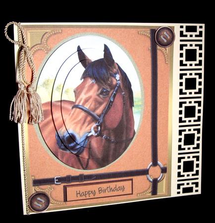 Lovely Throughbred Horses ( Pyramid ) by Dianne Jackson