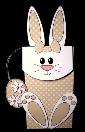 3D Bunny Cute Character Gift Bag Mini Kit by Dianne Jackson