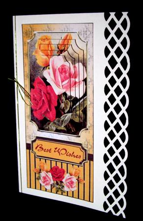 Vintage Roses Dl by Dianne Jackson