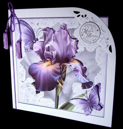 Enchanting Iris and Lace Card Front Kit by Dianne Jackson