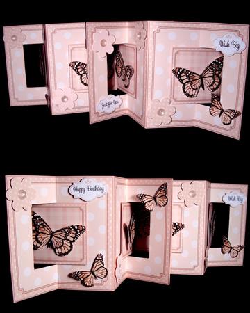 3D Flowers & Butterflies Accordian Swing Card by Dianne Jackson