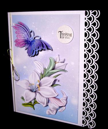 Nature is Beautiful by Dianne Jackson
