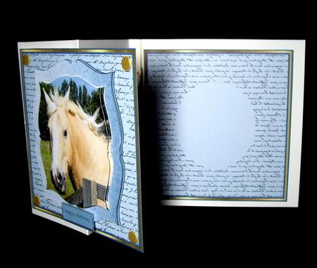 Cream Horse Insert by Dianne Jackson