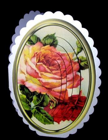 Lovely Deep Orange /red Roses in a Oval Gold Frame  by Dianne Jackson