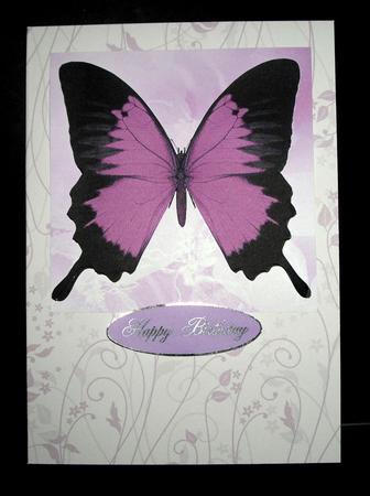 Pink Butterfly by Dianne Jackson