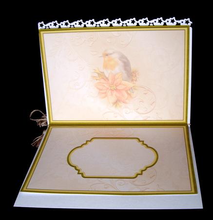 Christmas Insert for Robin Poinsettia & Lantern by Dianne Jackson