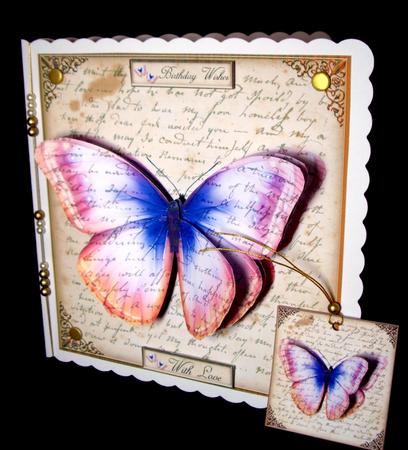 Butterfly by Dianne Jackson