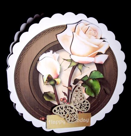 Beautiful Roseberry Roses by Dianne Jackson