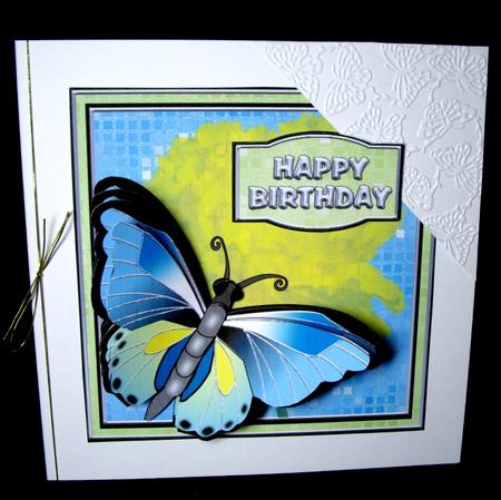Big Butterfly by Dianne Jackson