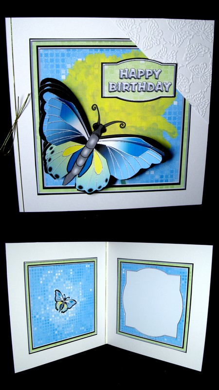 Big Butterfly Insert by Dianne Jackson