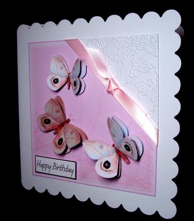 In the Pink Butterflies by Dianne Jackson