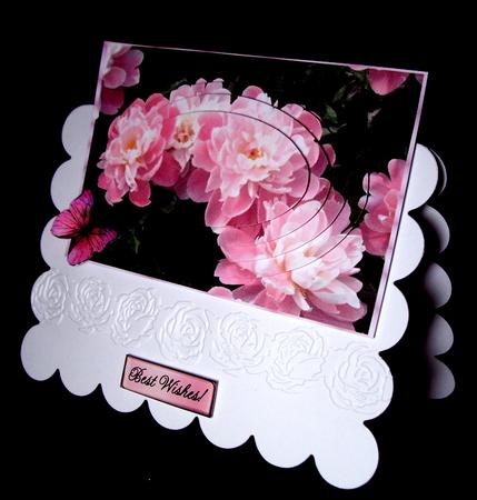 Pretty Pink Peonies with Oval Pyramids by Dianne Jackson