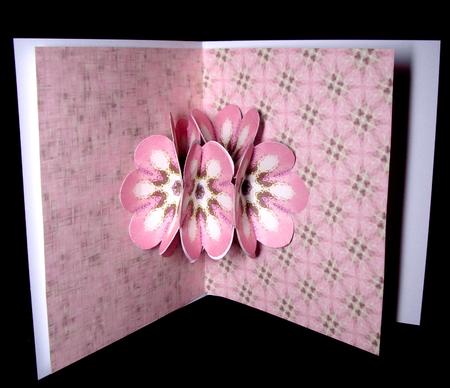 Pop-flower Card Kit - Pink Crackle by Dianne Jackson