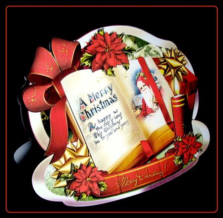 Christmas Gift Book with Red Poinsettias by Dianne Jackson