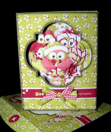 Hootie Christmas Framed Pyramage Card Kit by Dianne Jackson