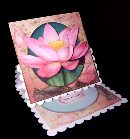 Luscious Lotus Bloom by Dianne Jackson