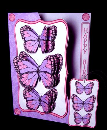 Lace Butterflies Over the Edge Mini Kit by Dianne Jackson