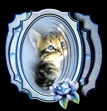 Porcelain Kitten Popout Card Kit by Dianne Jackson