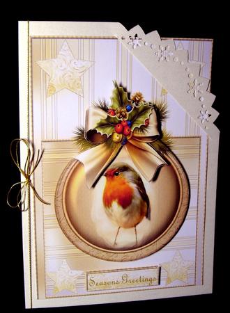 Christmas Robin by Dianne Jackson