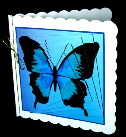 Blue Butterfly Twisted Pyramid by Dianne Jackson