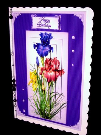 Irises in Bloom by Dianne Jackson