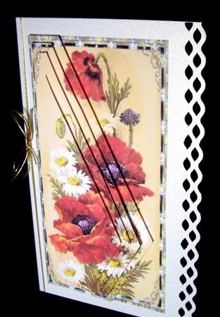 Poppies and Daisies by Dianne Jackson