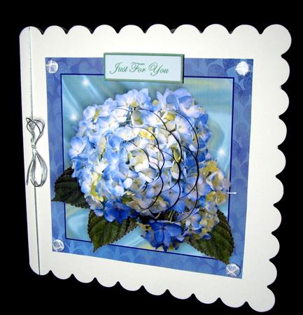 Beautiful Blue Hydrangea by Dianne Jackson