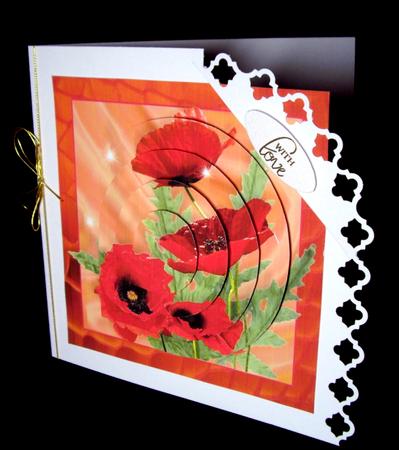 Poppies by Dianne Jackson