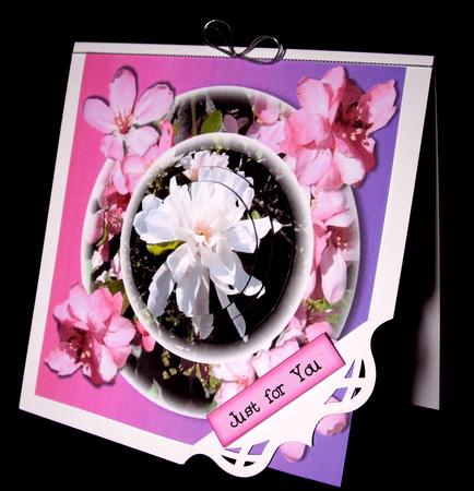 Spring Time by Dianne Jackson
