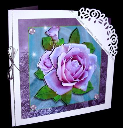Purple Roses by Dianne Jackson