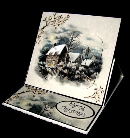 Starry Winter Scene by Dianne Jackson