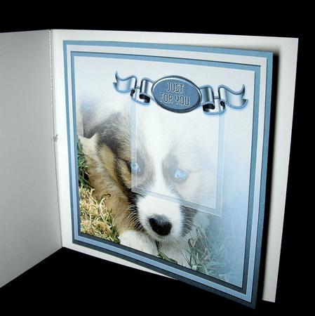 Cute Puppy with Blue Eyes Matching 8in x 8in Insert Plate by Dianne Jackson